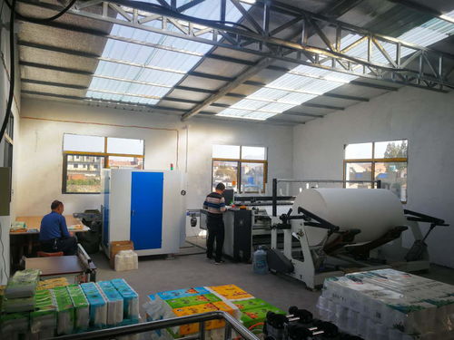 想在農村老家辦個小型衛生紙加工廠,需要投資多少錢呢