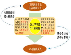 上交所 債券市場投資者適當性管理辦法 2017年修訂 答記者問 上