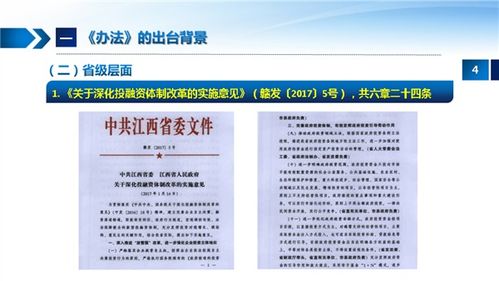 江西省政府投資管理辦法 解讀