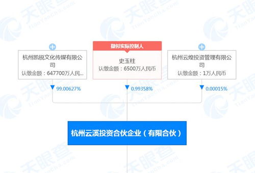 史玉柱再度陷入股權風波，6500萬股權遭凍結引關注